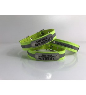 Fosforlu İsimlikli Köpek Tasması